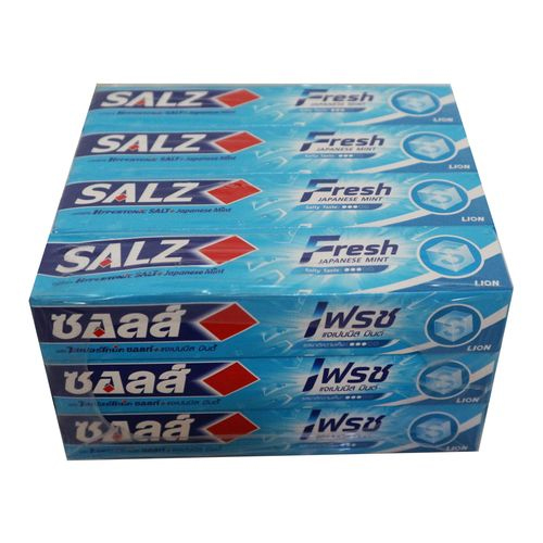 Salz Fresh Toothpaste 40g 1x12