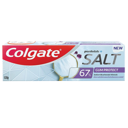 I1 Colgate Toothpaste Salt Gum Protrect 120g / (หน่วย)